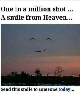 FB_IMG_1511101414321