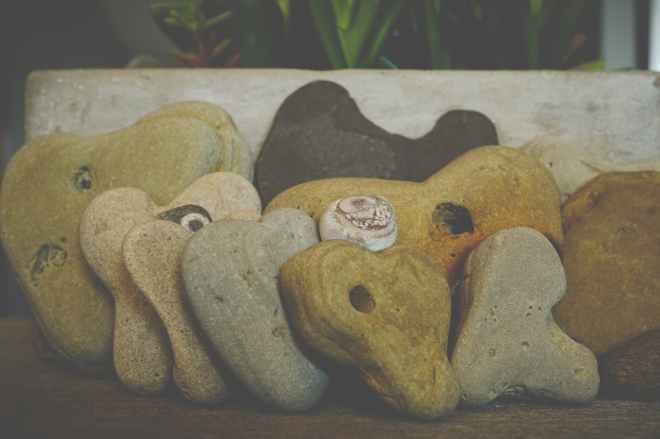 close up photo of arranged stones