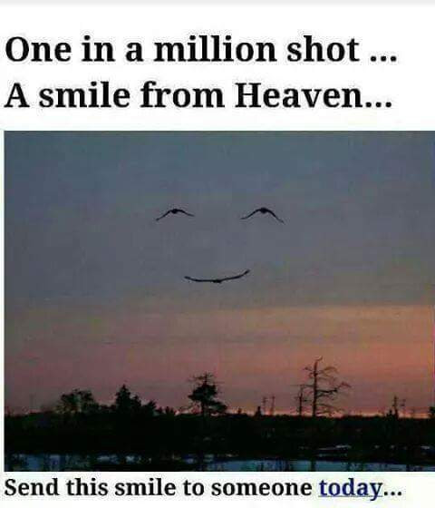 fb_img_1511101414321